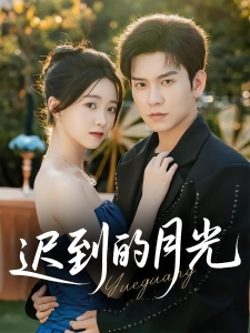 短剧迟到的月光海报