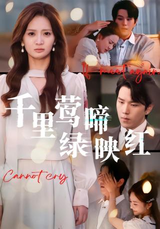 短剧千里莺啼绿映红海报