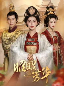 短剧昭昭芳华海报