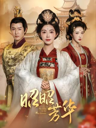 短剧昭昭芳华海报