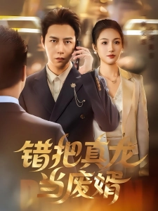 短剧错把真龙当废婿海报