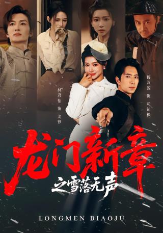 短剧龙门新章之雪落无声海报