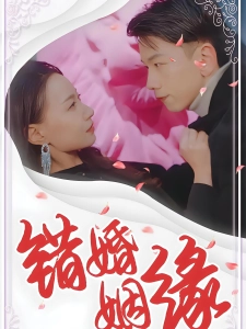 短剧错婚姻缘海报