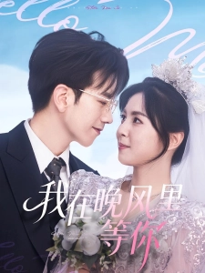 短剧我在晚风里等你海报