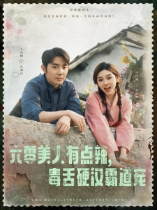 短剧六零美人有点辣，毒舌硬汉霸道宠海报