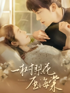 短剧一树梨花压海棠海报