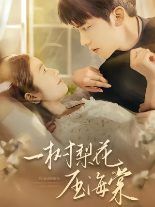 短剧一树梨花压海棠海报
