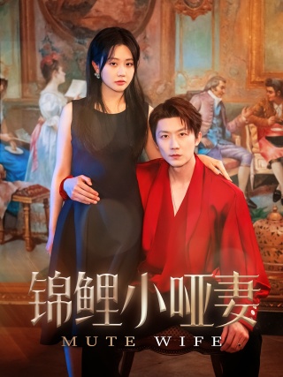 短剧锦鲤小哑妻海报