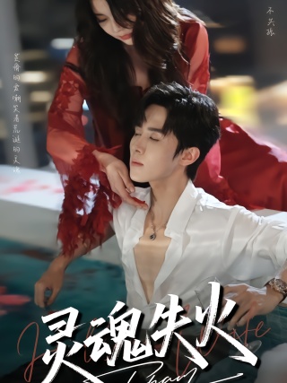 短剧灵魂失火海报