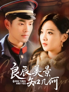 短剧良辰美景知几何海报