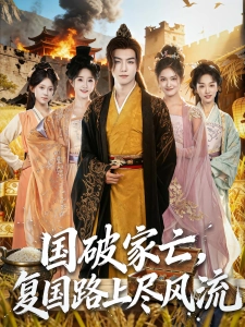 短剧国破家亡，复国路上尽风流海报