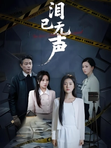 短剧泪已无声海报