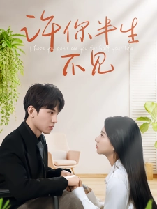 短剧许你半生不见海报