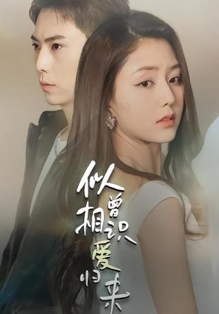 短剧似曾相识爱归来海报