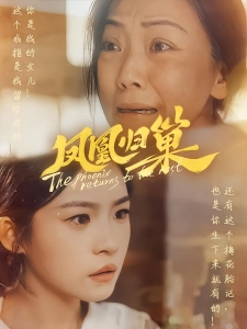 短剧凤凰归巢海报