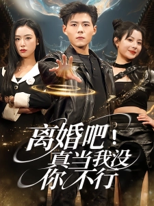 短剧离婚吧！真当我没你不行海报