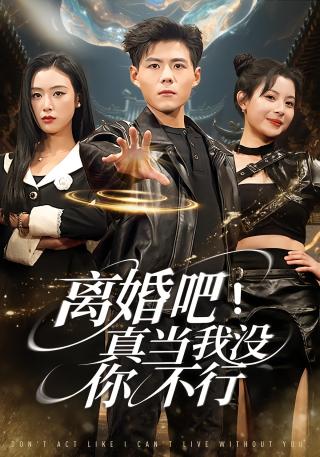 短剧离婚吧！真当我没你不行海报