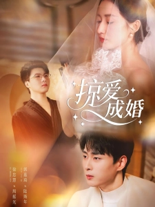 短剧掠爱成婚海报