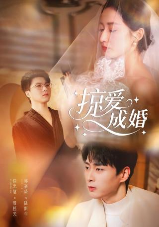 短剧掠爱成婚海报