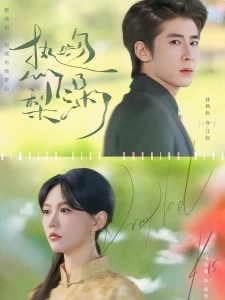 短剧热吻梨涡海报