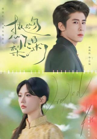 短剧热吻梨涡海报