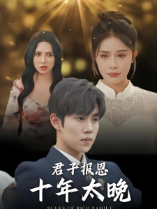 短剧君子报恩十年太晚海报