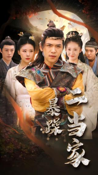 短剧暴躁二当家海报