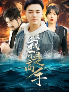 短剧我不是高手海报