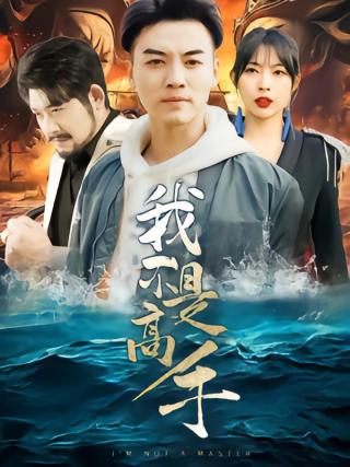 短剧我不是高手海报