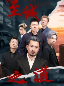 短剧至诚之道海报