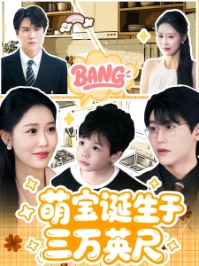 短剧萌宝诞生于三万英尺海报