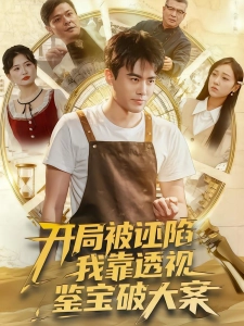 短剧开局被诬陷，我靠透视鉴宝破大案海报