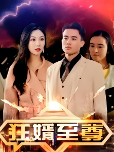 短剧狂婿至尊海报