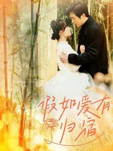 短剧假如爱有归宿海报