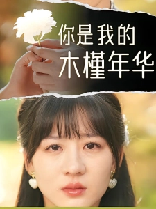短剧你是我的木槿年华海报