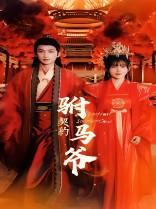短剧契约驸马爷海报