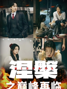 短剧涅槃之巅峰再临海报
