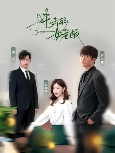 短剧进击的女老板海报