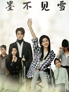 短剧墨不见雪海报