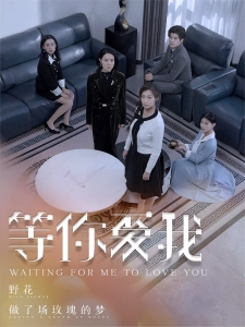 短剧等你爱我海报