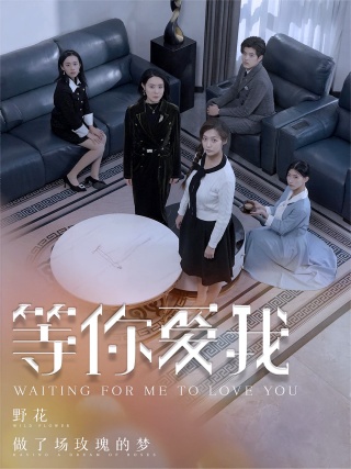 短剧等你爱我海报