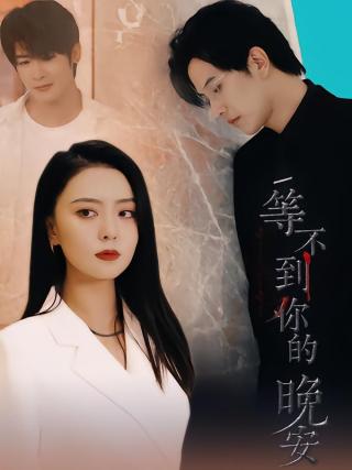 短剧等不到你的晚安海报