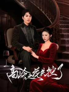 短剧高岭之花失控了海报