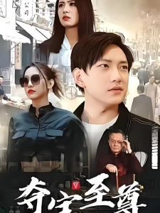 短剧夺宝至尊海报