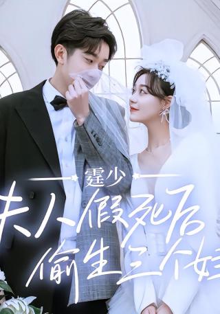 短剧霆少，夫人假死后偷生三个娃海报