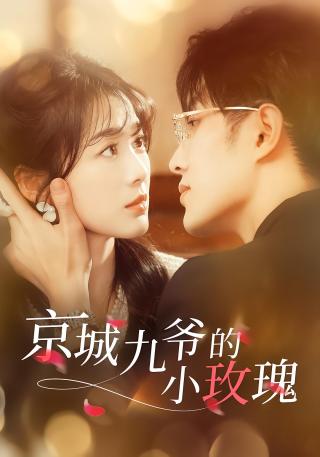 短剧京城九爷的小玫瑰海报