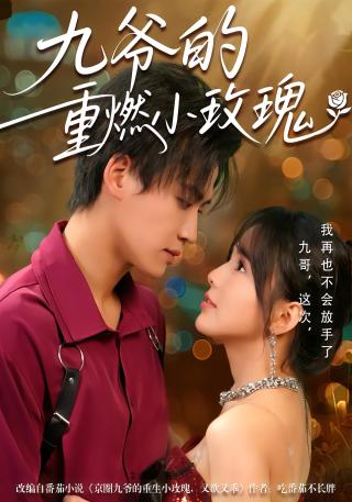 短剧九爷的重燃小玫瑰海报