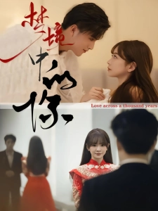 短剧梦境中的你海报