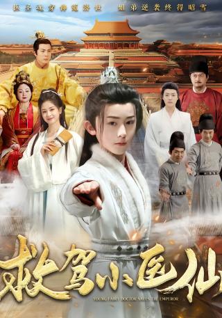 短剧救驾小医仙海报