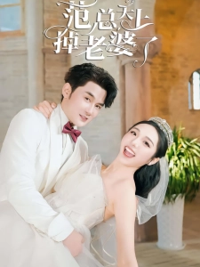 短剧范总天上掉老婆了海报